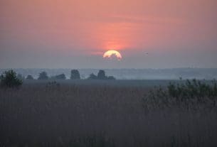 Saullēkts pie Liepājas ezera