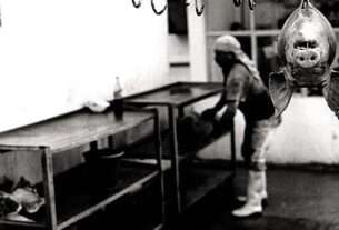In the Slaughter House